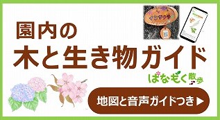 0_はなもく散歩