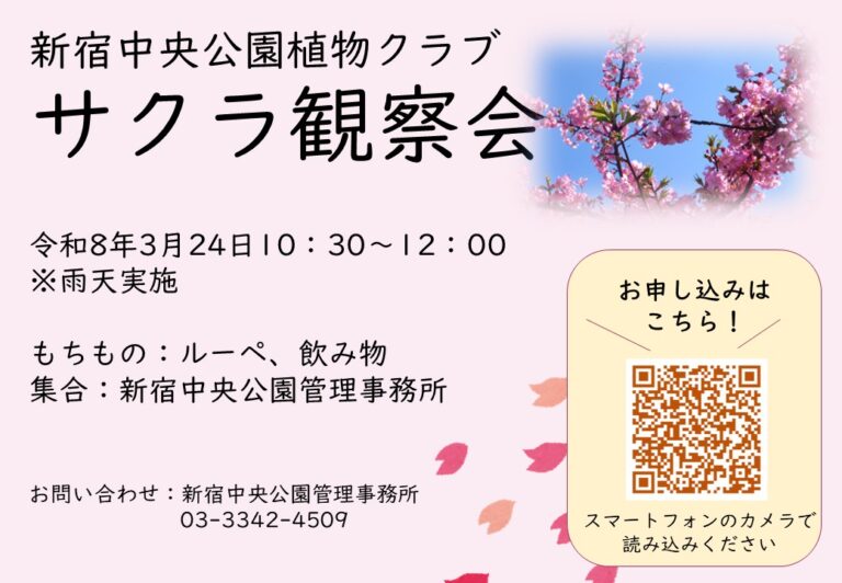 新宿中央公園植物クラブサクラ観察会